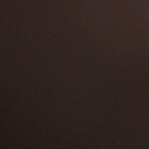 Meet your Posher, Bridgette